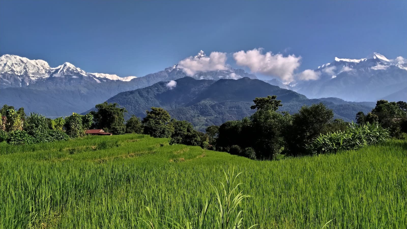 Astam & Dhampus Village Hiking