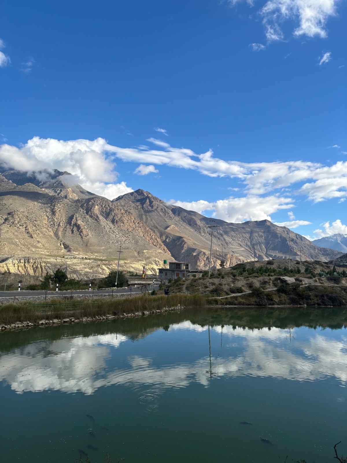 Mardi Himal Trek – 5 Days photo 5